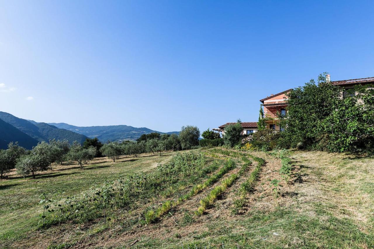Agriturismo La Fontaccia Rufina Exterior foto