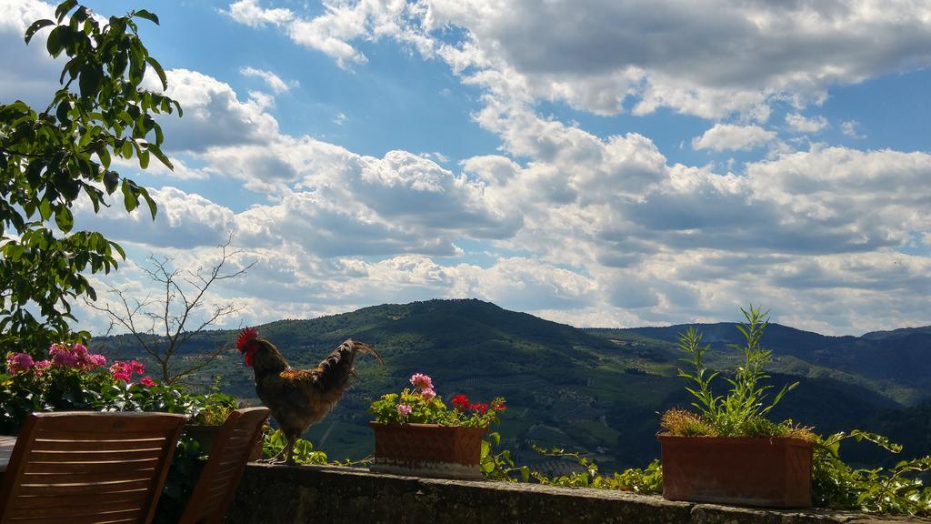 Agriturismo La Fontaccia Rufina Exterior foto
