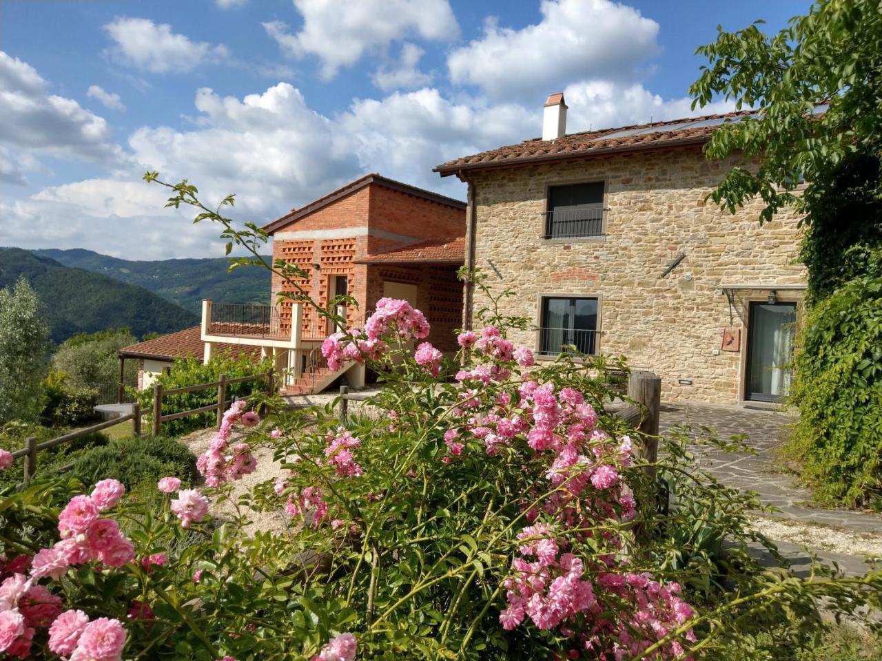 Agriturismo La Fontaccia Rufina Exterior foto